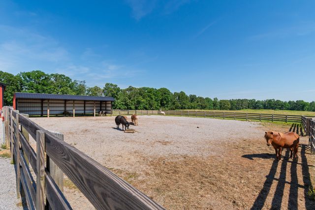 2981 Summertown Hwy, Summertown, TN 38483