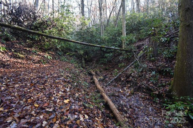 18748 Rosman Highway, Sapphire, NC 28774