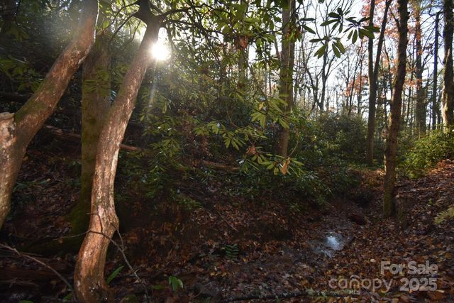 18748 Rosman Highway, Sapphire, NC 28774