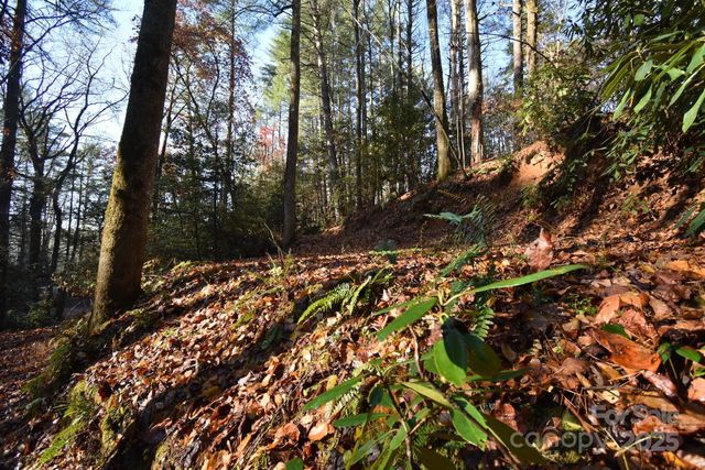 18748 Rosman Highway, Sapphire, NC 28774