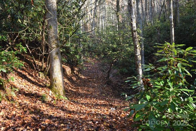 18748 Rosman Highway, Sapphire, NC 28774