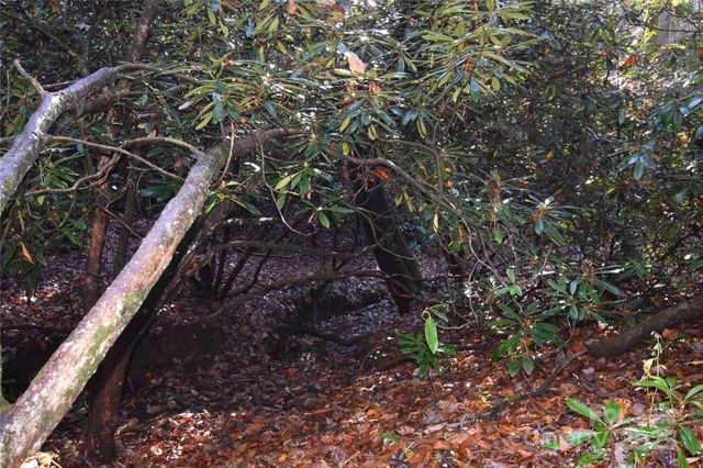 18748 Rosman Highway, Sapphire, NC 28774