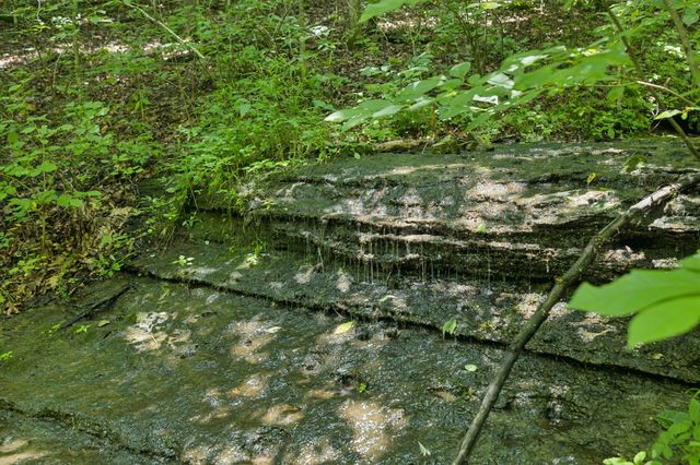 5723 Quest Ridge Rd, Franklin, TN 37064