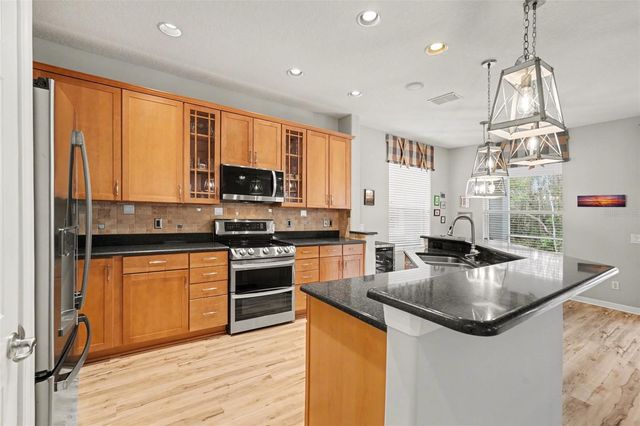 11201 GREEN PARK CIRCLE, Tampa, FL 33626