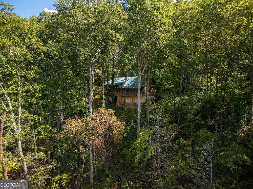 808 Mill Stone Mountain, Blue Ridge, GA 30513 — exterior