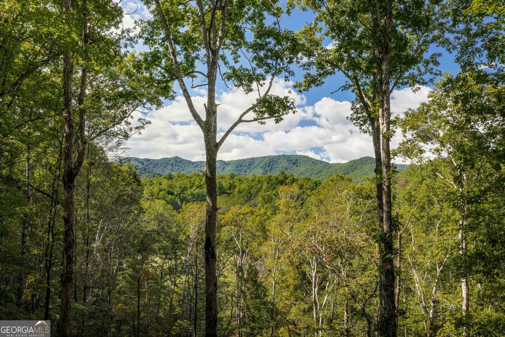 808 Mill Stone Mountain, Blue Ridge, GA 30513 — photo 2