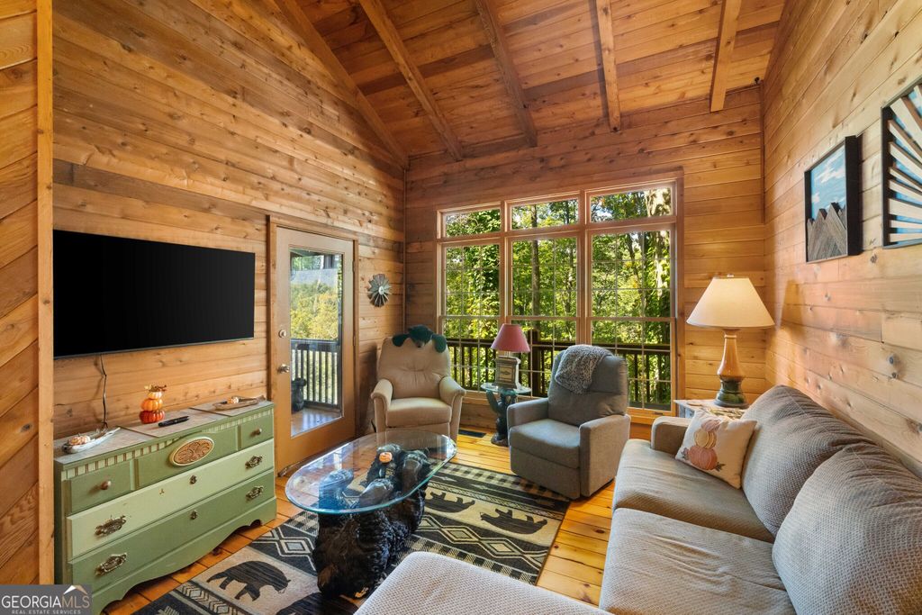 808 Mill Stone Mountain, Blue Ridge, GA 30513 — photo 3