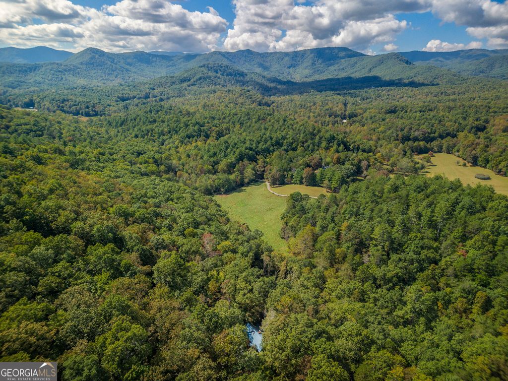 808 Mill Stone Mountain, Blue Ridge, GA 30513 — photo 4