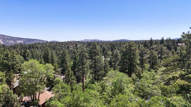 736 Villa Grove Avenue, Big Bear, CA 92314