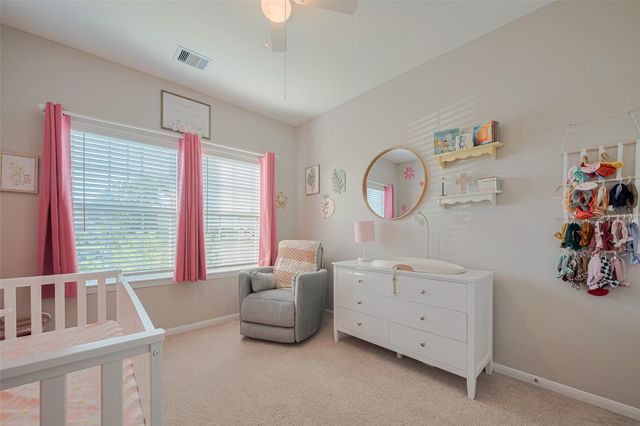 2446 Palisade Crest Drive, Rosharon, TX 77583