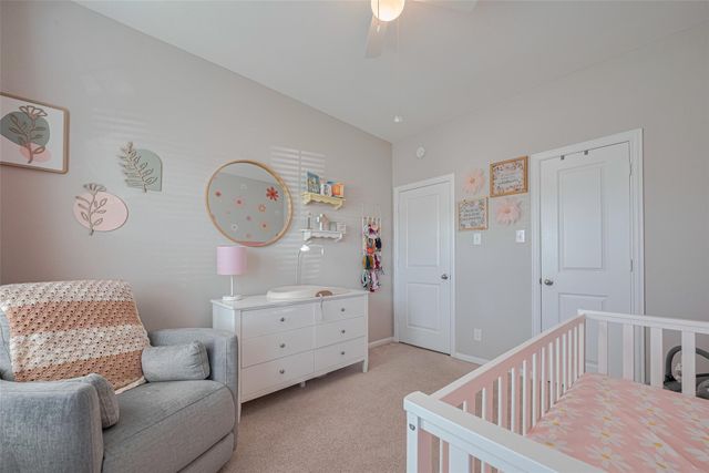 2446 Palisade Crest Drive, Rosharon, TX 77583