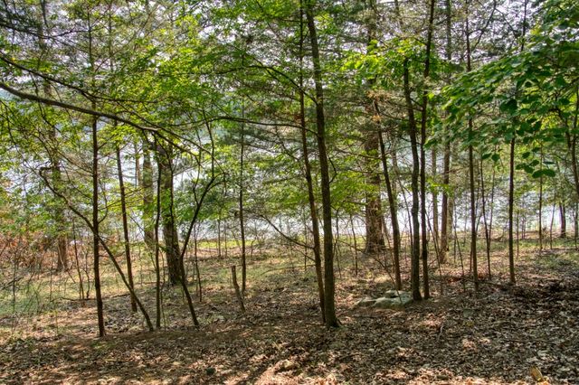 Edgewater Drive, Eureka Springs, AR 72631