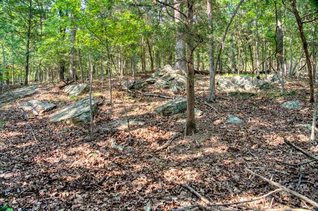 Edgewater Drive, Eureka Springs, AR 72631