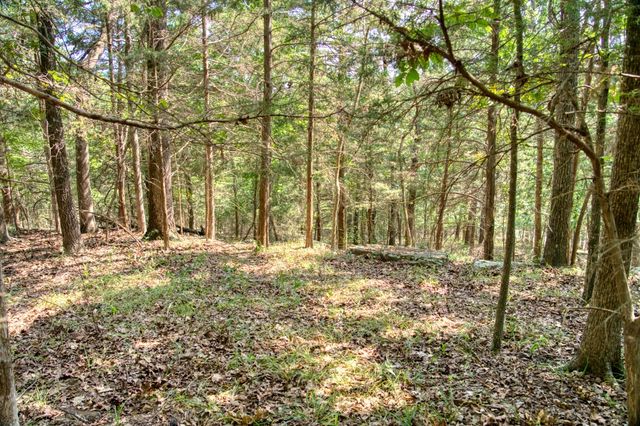 Edgewater Drive, Eureka Springs, AR 72631
