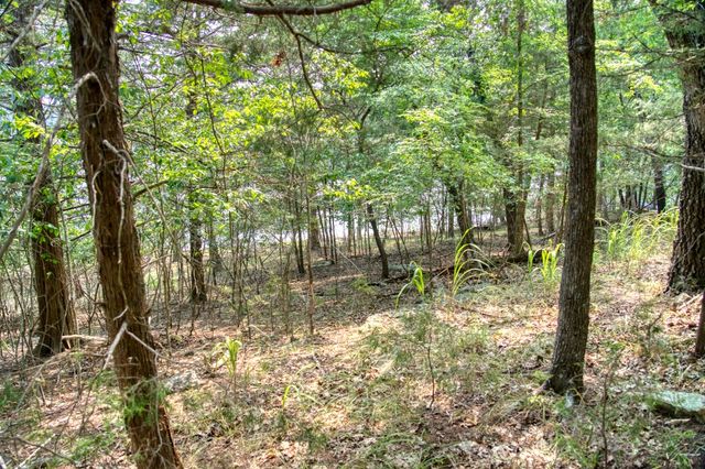 Edgewater Drive, Eureka Springs, AR 72631