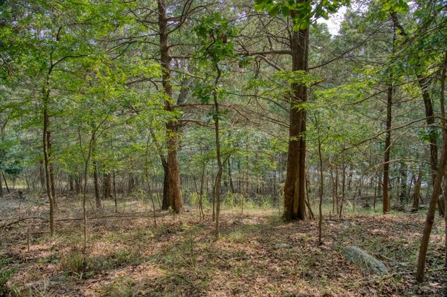 Edgewater Drive, Eureka Springs, AR 72631