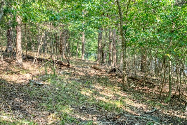 Edgewater Drive, Eureka Springs, AR 72631