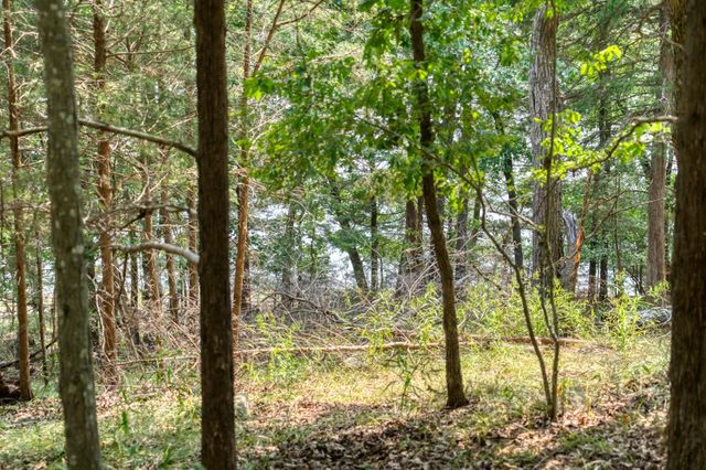 Edgewater Drive, Eureka Springs, AR 72631