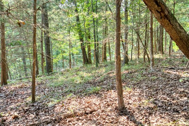 Edgewater Drive, Eureka Springs, AR 72631