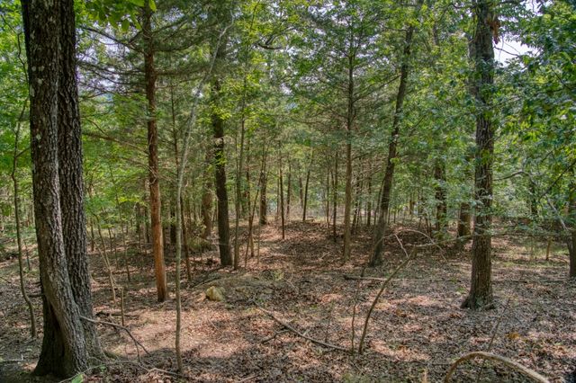 Edgewater Drive, Eureka Springs, AR 72631