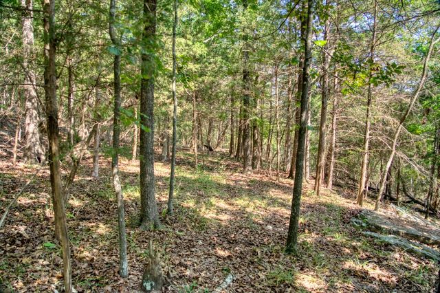 Edgewater Drive, Eureka Springs, AR 72631