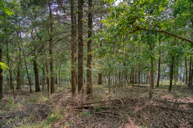 Edgewater Drive, Eureka Springs, AR 72631