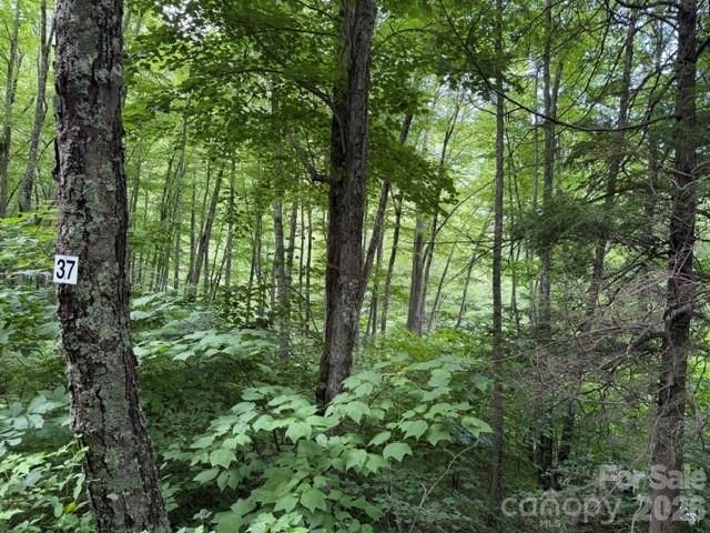 Lot 37 Odalu Trail 37, Maggie Valley, NC 28751