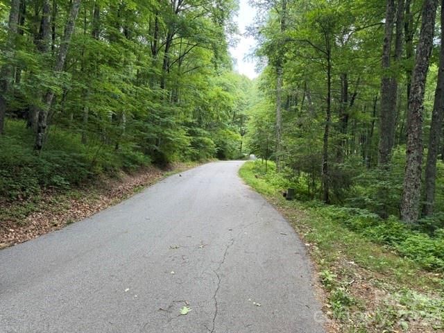 Lot 37 Odalu Trail 37, Maggie Valley, NC 28751