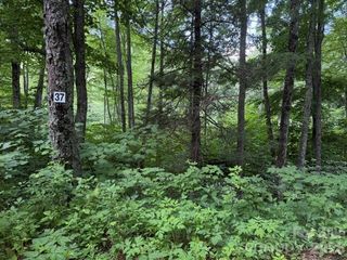 Lot 37 Odalu Trail 37, Maggie Valley, NC 28751