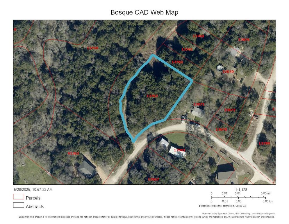 TBD County Road 1528, Morgan, TX 76691