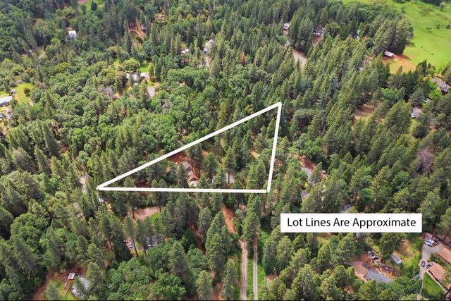 4650 Tracy Ln, Garden Valley, CA 95633