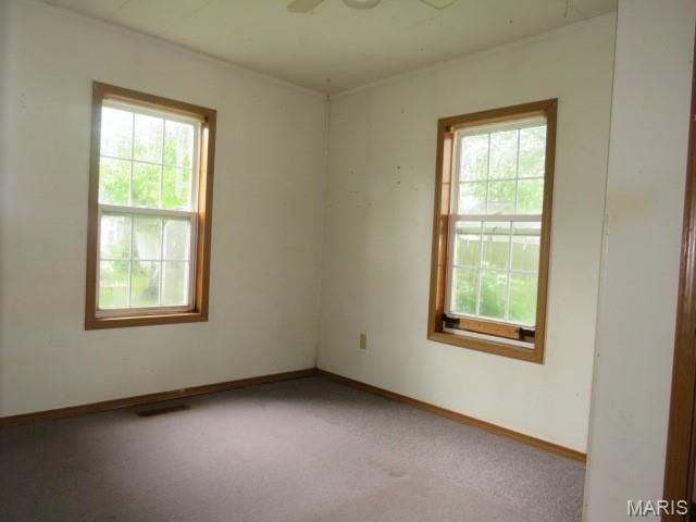 705 S Arch Street, Jerseyville, IL 62052