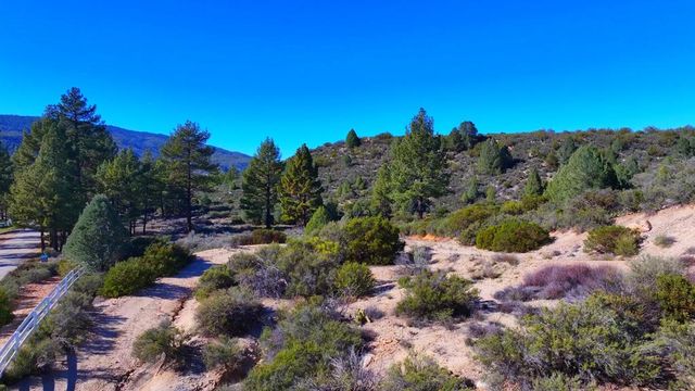 1 Butterfly Peak Road, Mountain Center, CA 92561