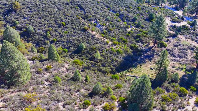 1 Butterfly Peak Road, Mountain Center, CA 92561