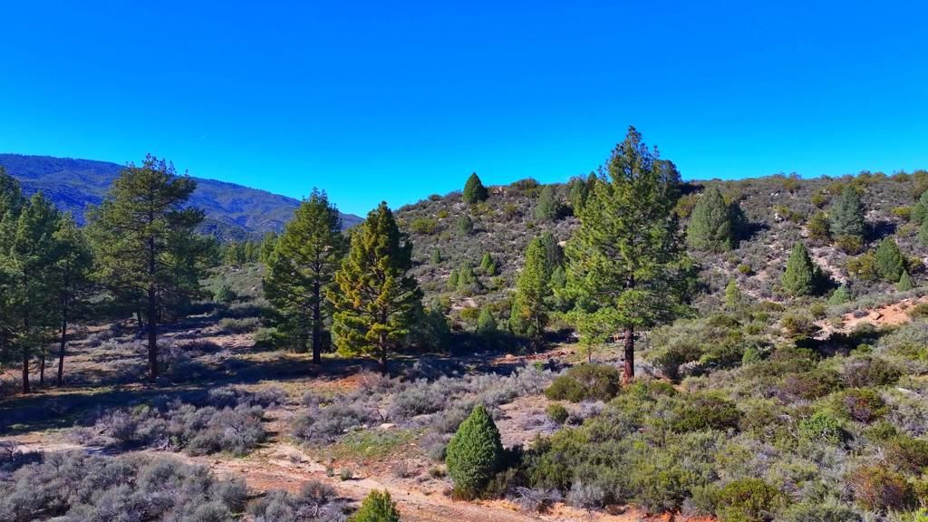 1 Butterfly Peak Road, Mountain Center, CA 92561