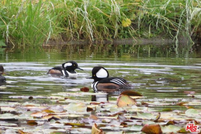 4314 W Ocean Avenue, Lompoc, CA 93436