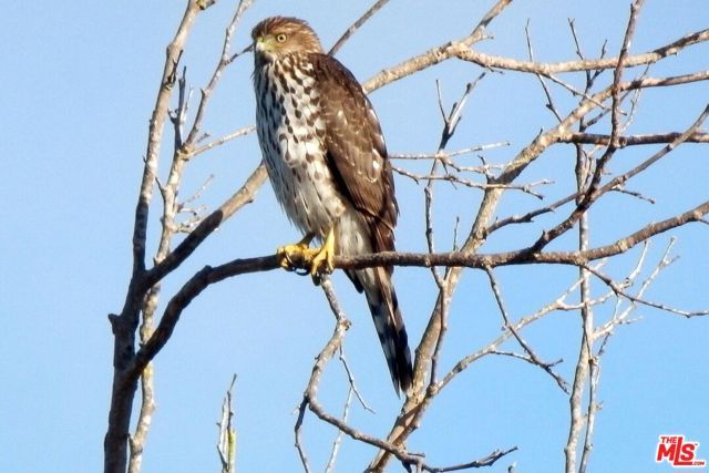 4314 W Ocean Avenue, Lompoc, CA 93436