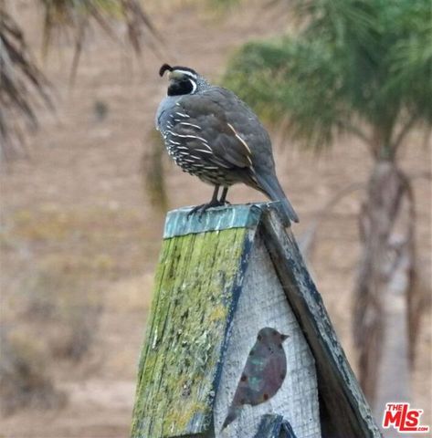 4314 W Ocean Avenue, Lompoc, CA 93436