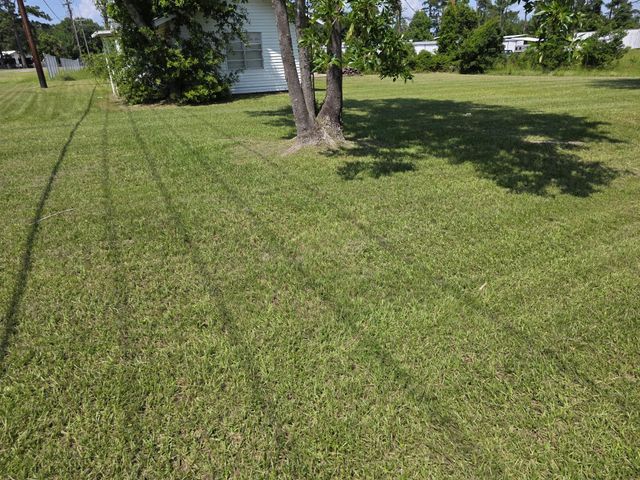 754 Yaupon Cove Drive, Onalaska, TX 77360
