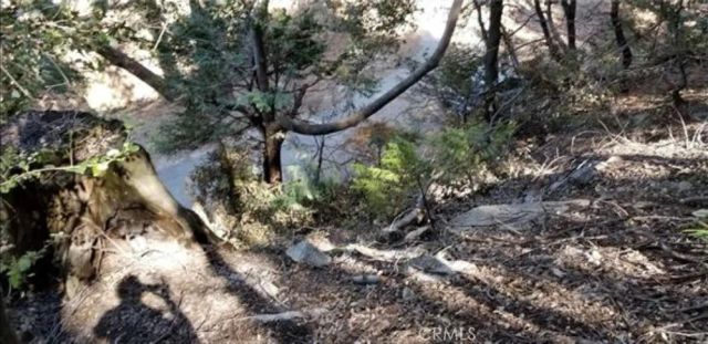 731 Jewel, Crestline, CA 92325