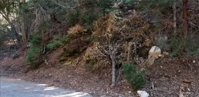 731 Jewel, Crestline, CA 92325
