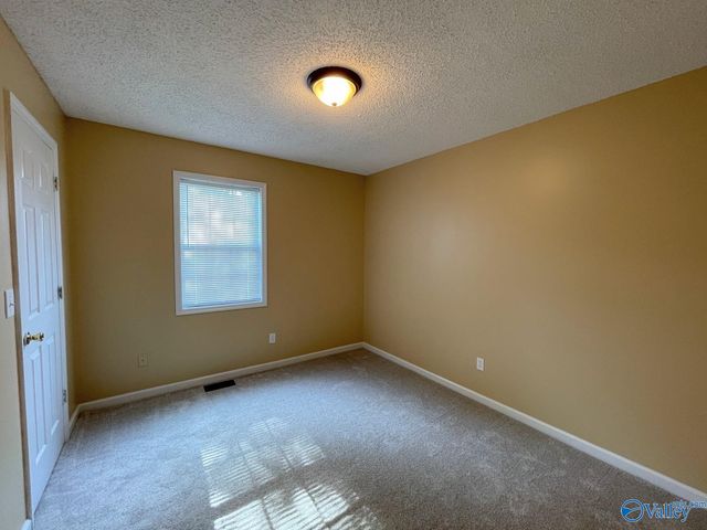 160 Guy Wilson Road, Hazel Green, AL 35750