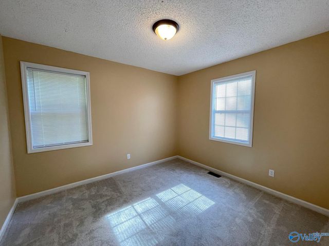 160 Guy Wilson Road, Hazel Green, AL 35750