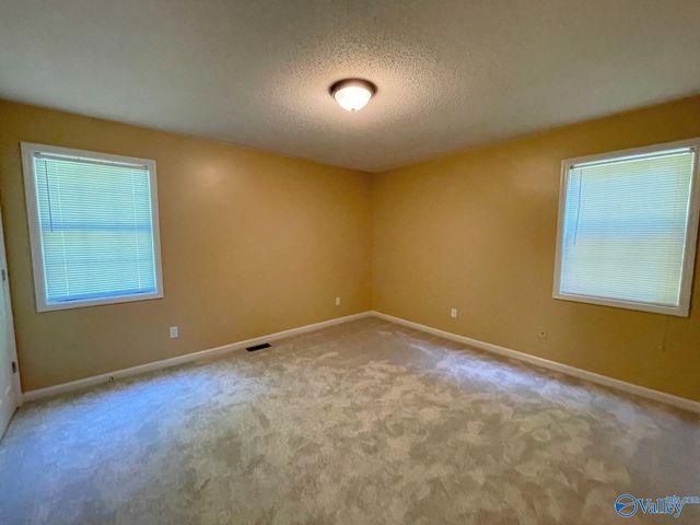 160 Guy Wilson Road, Hazel Green, AL 35750