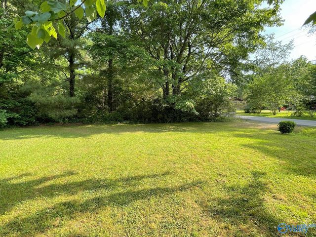 160 Guy Wilson Road, Hazel Green, AL 35750
