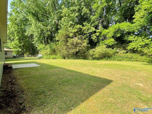 160 Guy Wilson Road, Hazel Green, AL 35750