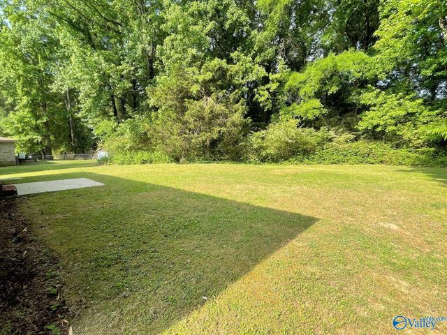 160 Guy Wilson Road, Hazel Green, AL 35750