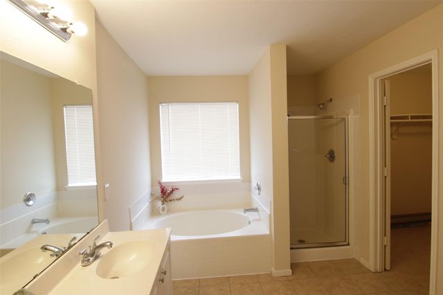 16938 Watering Oaks Lane, Houston, TX 77083