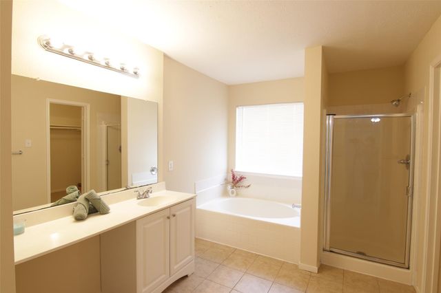 16938 Watering Oaks Lane, Houston, TX 77083