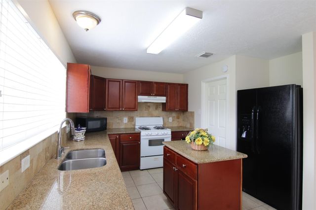 16938 Watering Oaks Lane, Houston, TX 77083